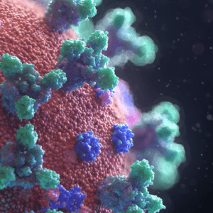 Moving During the Coronavirus Pandemic (COVID-19): What to Know