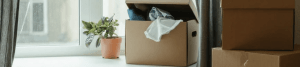 Why Professional Services Are The Go-To for Small Moves In Sydney