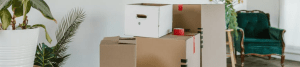 Streamline Your Moving Process With Expert Rubbish Removal Services