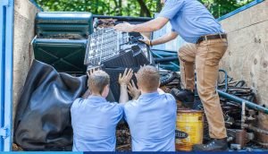 How A Rubbish Removal Company Can Give Your Garden A Spring Clean In Sydney
