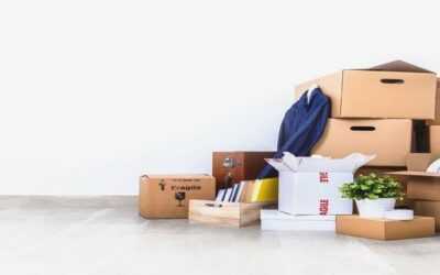 Why Men In Black Removals Stands Out Among Movers And Packers In Sydney