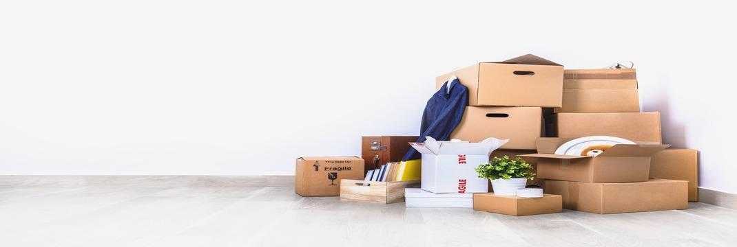 Why Men In Black Removals Stands Out Among Movers And Packers In Sydney