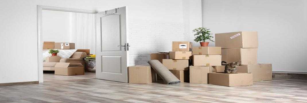 The Dos And Don’ts Of Packing For A Move: Advice From Experienced Sydney Movers And Packers