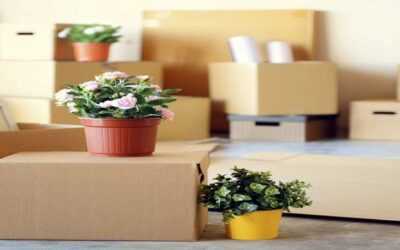 Safe And Sound: Ensuring The Security Of Your Belongings With Trusted Movers And Packers — MIB Removals
