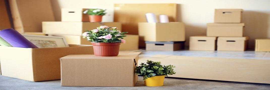 Safe And Sound: Ensuring The Security Of Your Belongings With Trusted Movers And Packers — MIB Removals
