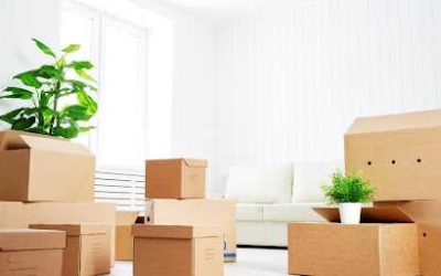 Long-Distance Moves? Men In Black Removals – Packing And Storage Solutions For Sydney And Beyond