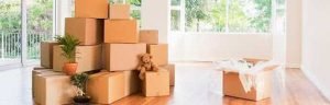 Reliable Removalists in the Sutherland Shire: Your Trusted Moving Partner