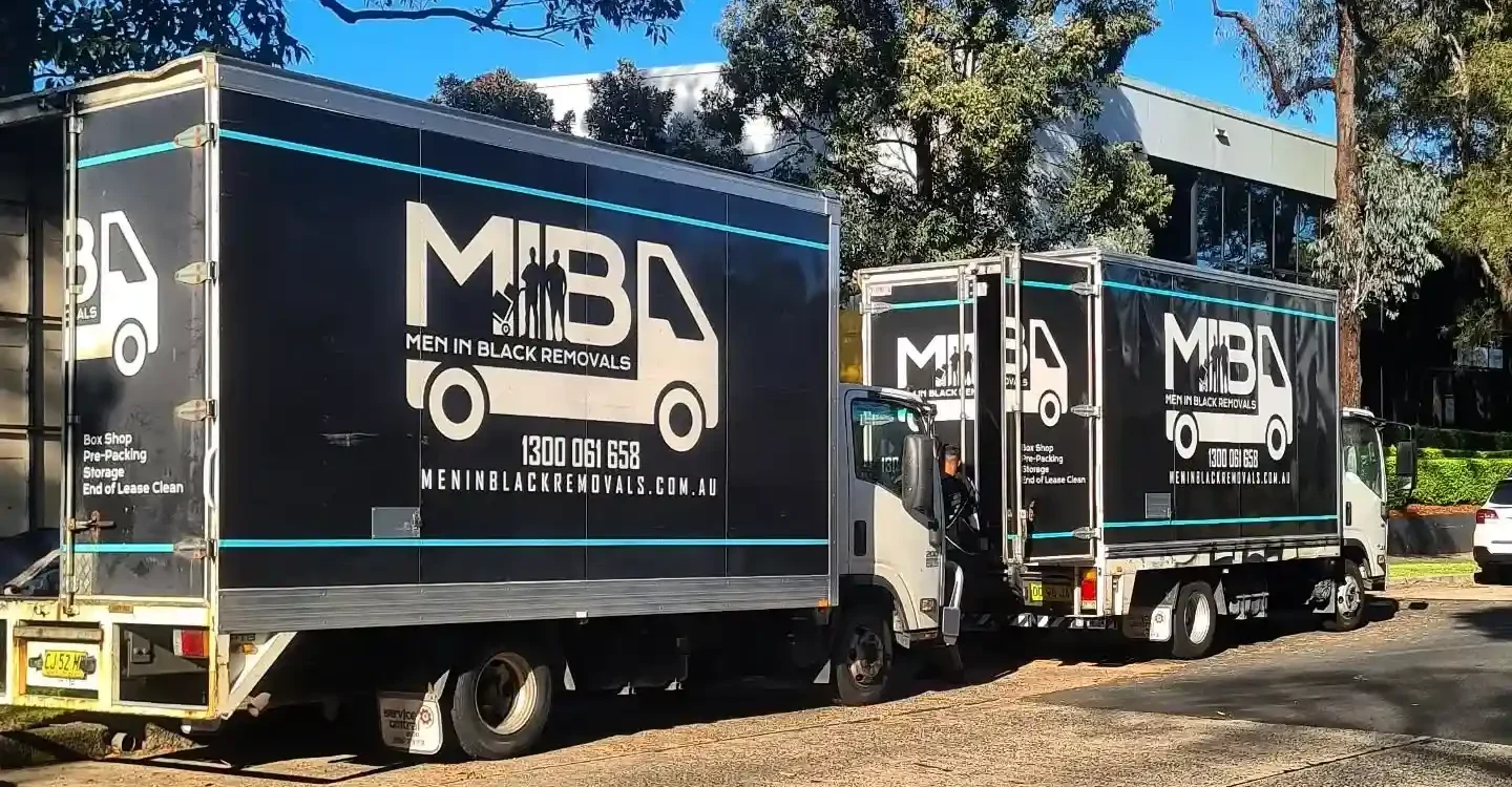 meninblack-removals-image